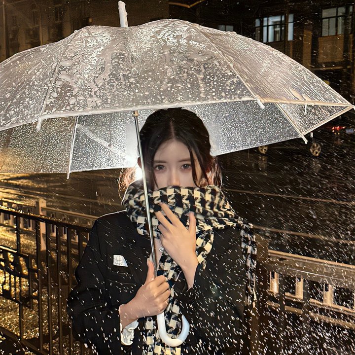 安妮莱伯维兹的浮华世界
